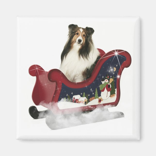 Imán Magic Sleigh Sheltie (Frente)