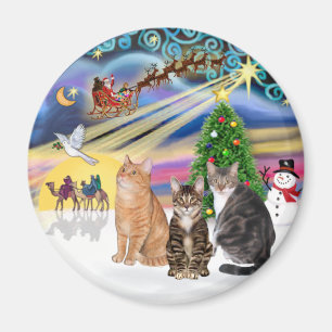 Imán Mágica de Navidad (R) - Tres gatos (AmSH)