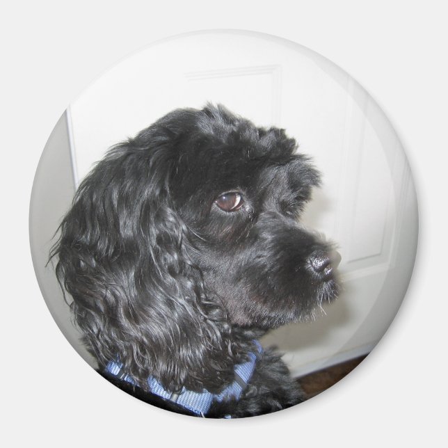 Imán Magnate Adorable Dog (Frente)