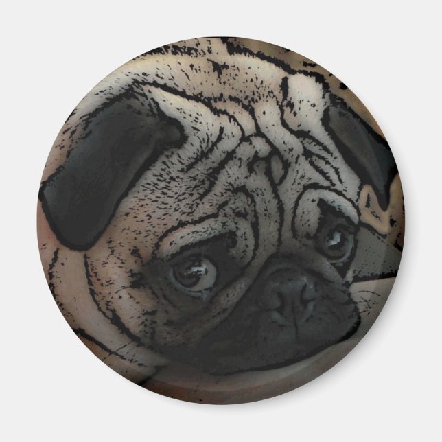 Imán Magnate artístico de pug cutáneo (Frente)