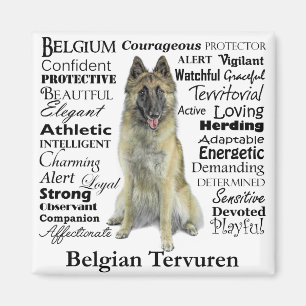 Imán Magnate belga de senderos Tervuren