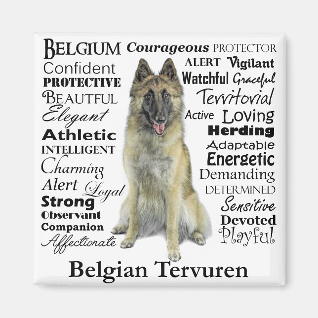 Imán Magnate belga de senderos Tervuren (Frente)