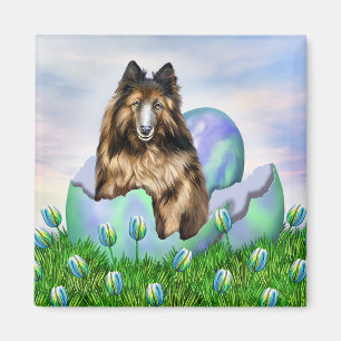 Imán Magnate belga Tervuren Easter