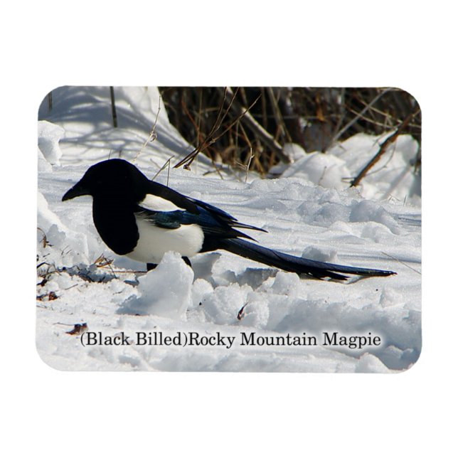 Imán Magnate Black Bilky Mountain (Horizontal)