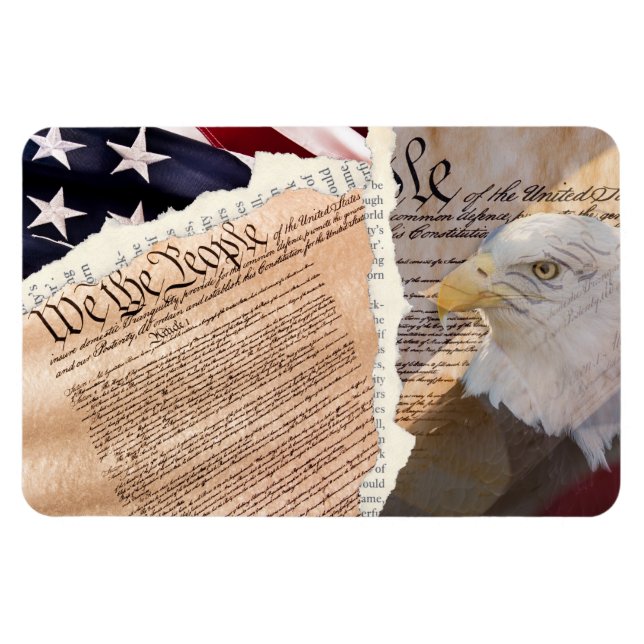 Imán Magnate constitucional (Horizontal)