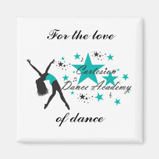 Imán Magnate cuadrado de Cartesion