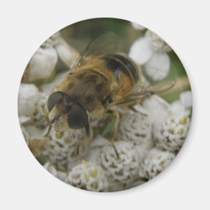 Imán Magnate de abejas y flores