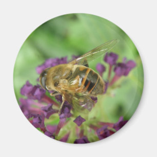 Imán Magnate de abejas y flores moradas