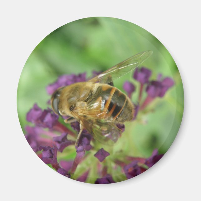 Imán Magnate de abejas y flores moradas (Frente)