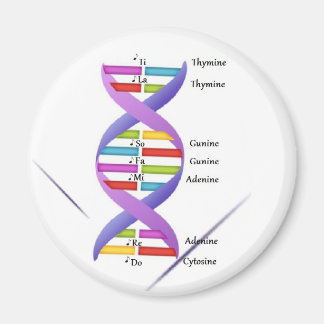 Imán Magnate de ADN