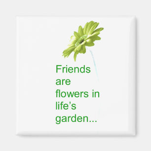 Imán Magnate de amistad