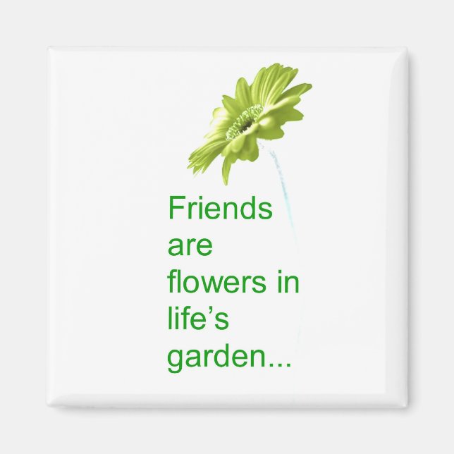 Imán Magnate de amistad (Frente)