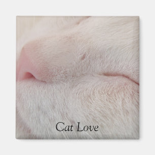 Imán Magnate de amor para gatos
