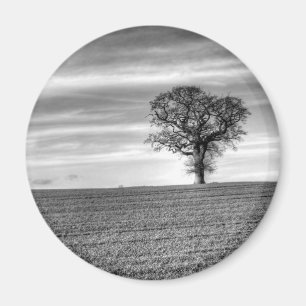 Imán Magnate de árbol solitario