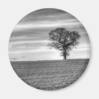Imán Magnate de árbol solitario