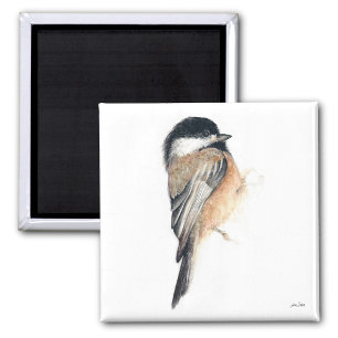 Imán Magnate de arte acuarela de chickadee