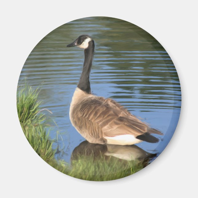 Imán Magnate de Arte Animal de Goose de Canadá (Frente)