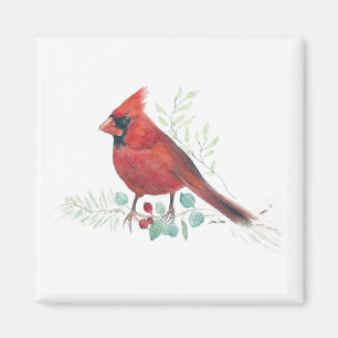 Imán Magnate de arte de acuarela del cardenal rojo