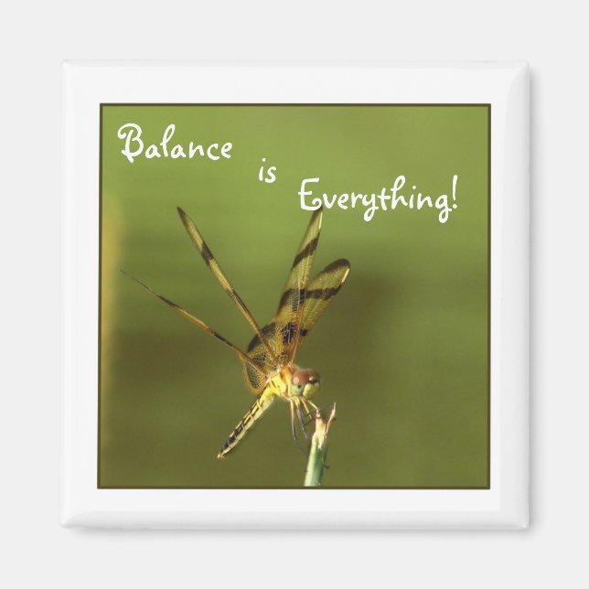 Imán Magnate de balance de la libélula 2 (Frente)