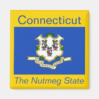Imán Magnate de bandera de Connecticut