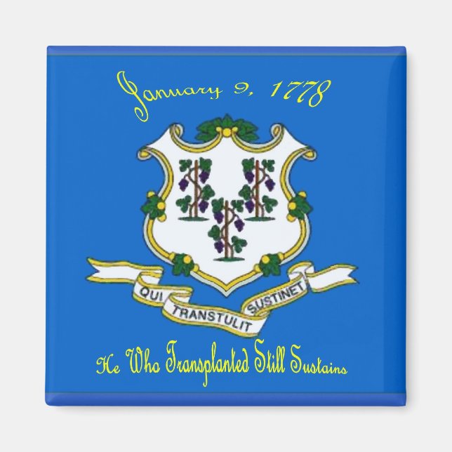 Imán Magnate de bandera de Connecticut (Frente)
