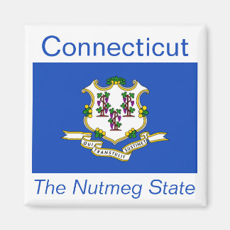 Imán Magnate de bandera de Connecticut