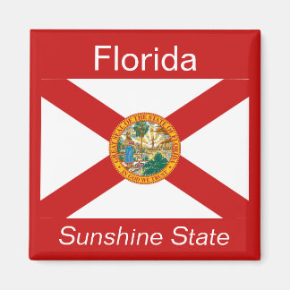 Imán Magnate de bandera de Florida