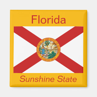 Imán Magnate de bandera de Florida