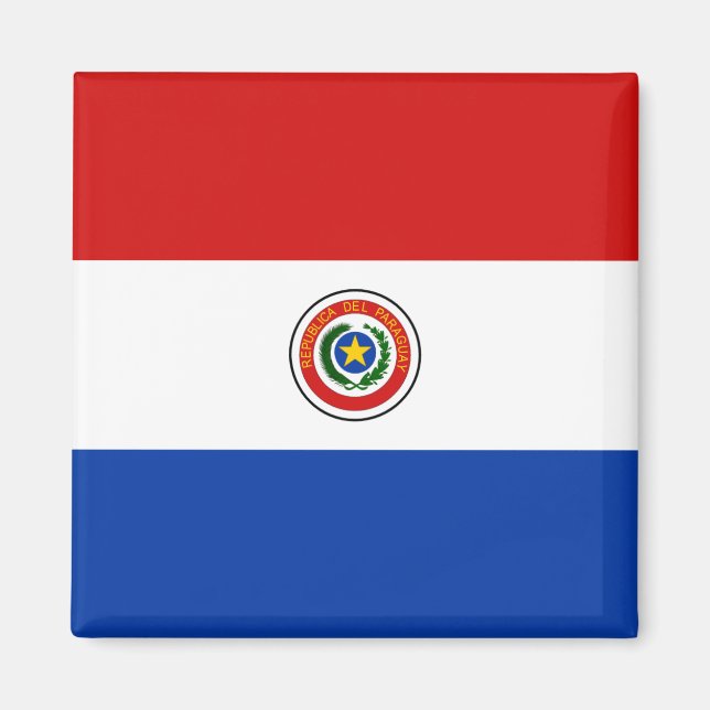 Imán Magnate de Bandera de Paraguay (Frente)
