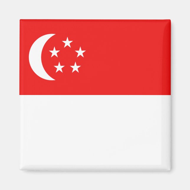 Imán Magnate de bandera de Singapur (Frente)