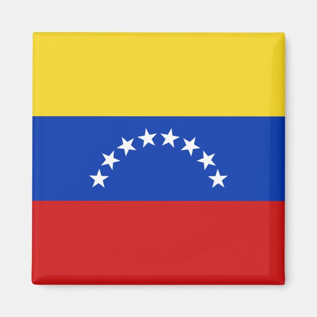 Imán Magnate de bandera de Venezuela (Frente)