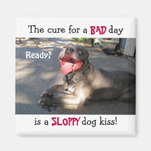 Imán Magnate de besos de perro descuidados