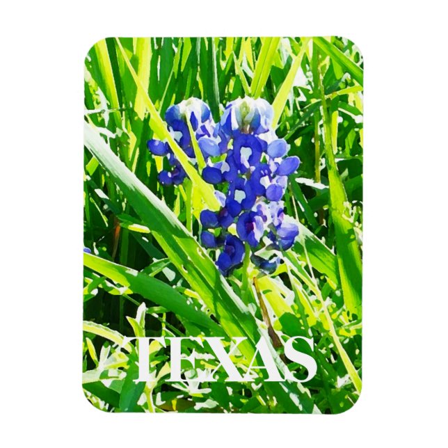 Imán Magnate de Bluebonnets de Texas (Vertical)