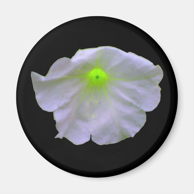Imán Magnate de brillo verde Petunia (Frente)