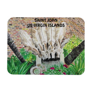 Imán Magnate de burros