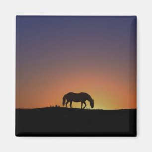 Imán Magnate de caballos del Suroeste de bonito