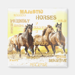 Imán Magnate de caballos majestuoso