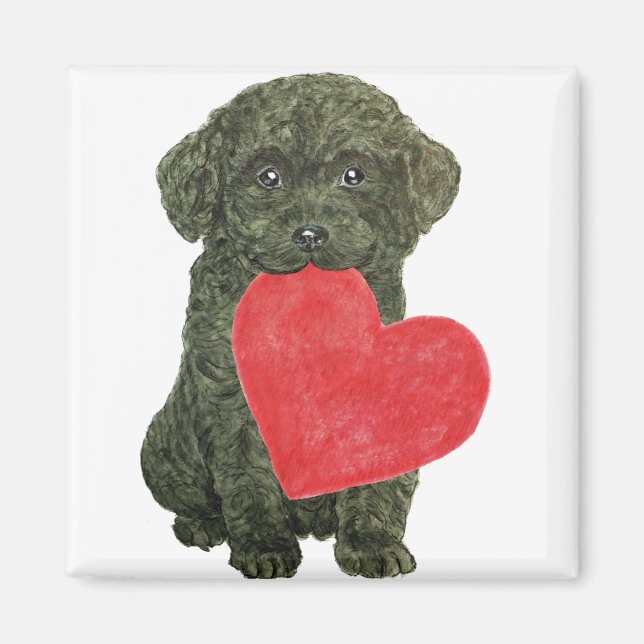 Imán Magnate De Cachorro (Frente)