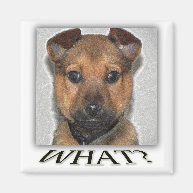 Imán Magnate de cachorro superlindo (Frente)