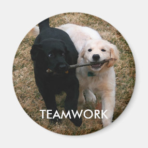 Imán Magnate de cachorros en blanco y negro