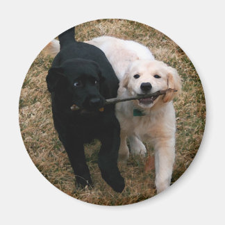 Imán Magnate de cachorros en blanco y negro