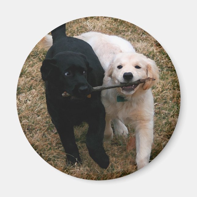 Imán Magnate de cachorros en blanco y negro (Frente)