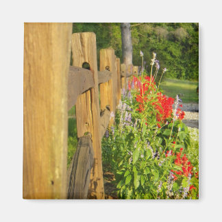 Imán Magnate de cercas de madera