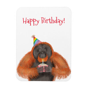 Imán Magnate de cumpleaños de orangután lindo