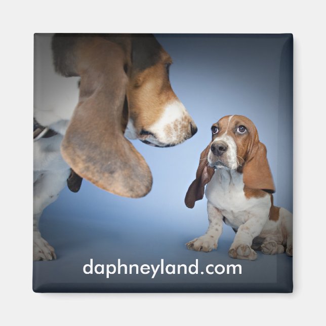 Imán Magnate de encuentro de cachorros (Frente)