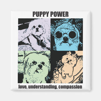 Imán Magnate de energía de porción de bella