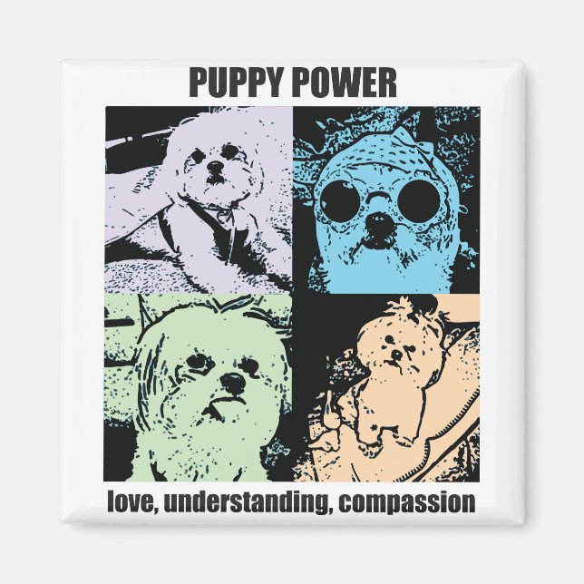 Imán Magnate de energía de porción de bella (Frente)