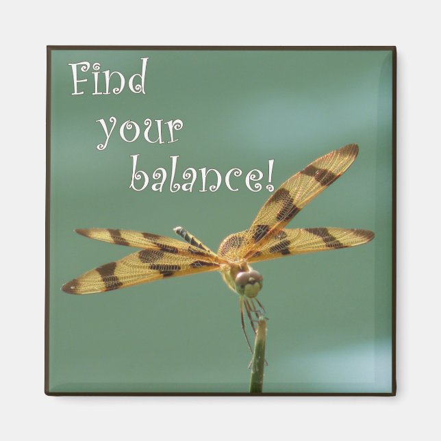 Imán Magnate de equilibrio de la libélula (Frente)