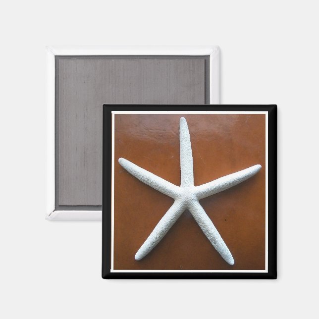 Imán Magnate de Estrella del Mar (Anverso/Reverso)