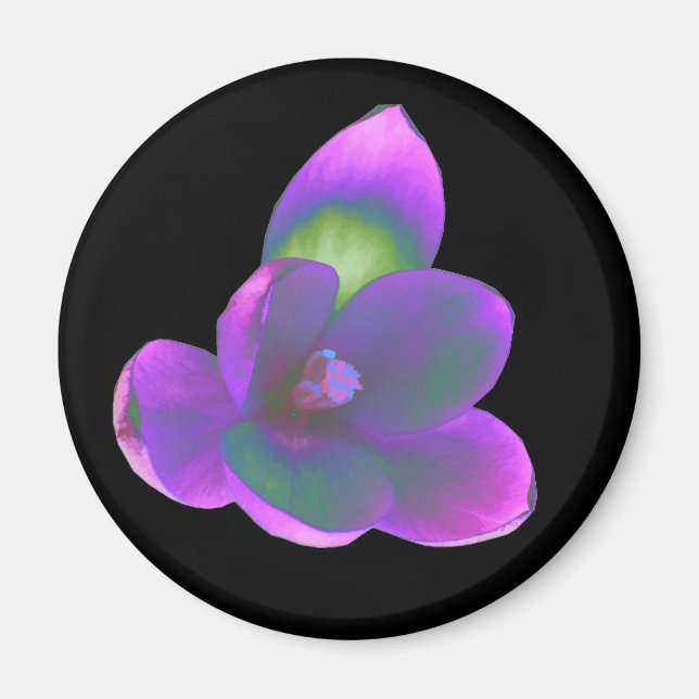 Imán Magnate de flor crocus de belleza mística (Frente)